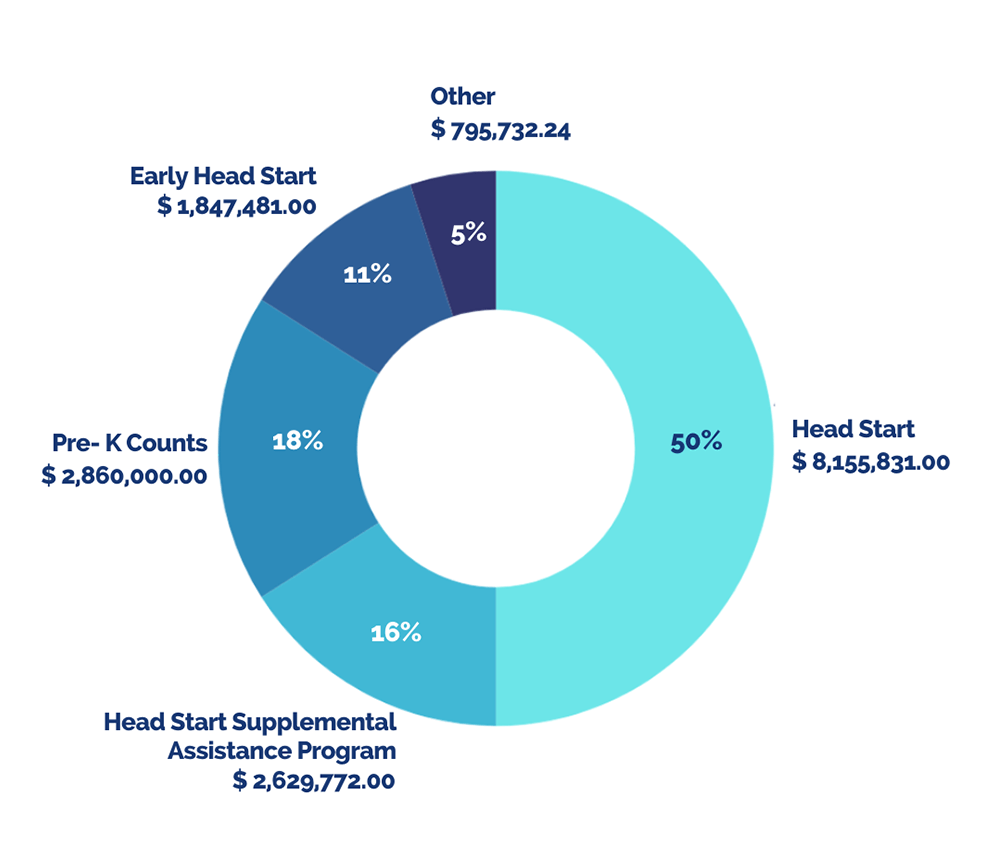 CAHS annual accomplishments graphic of financial information for 2023-2024